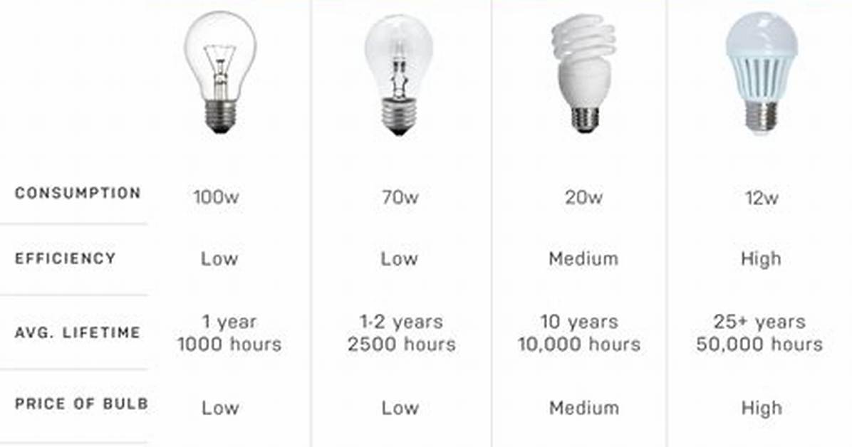 Light Bulb Differences