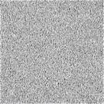 Light Grey Carpet