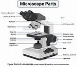 Light Microscope Parts