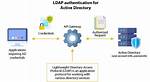 Lightweight Directory Access Protocol Authentication - Documentation for Truesight Server Automation 23.4