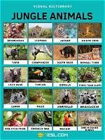 Like Jungle Animals