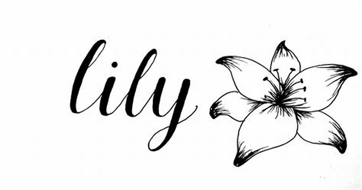 Lily Name