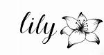 Lily Name
