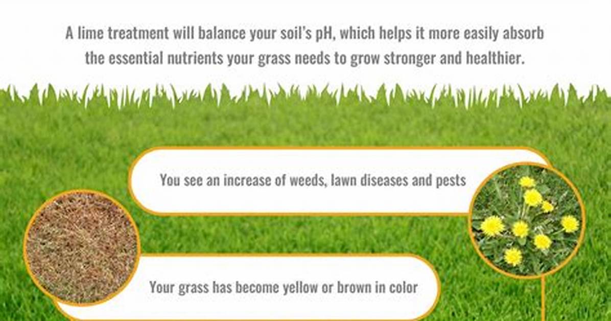 Lime for Grass