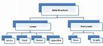 Linear and Non Linear Data Structure