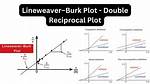 Lineweaver-Burk Plot