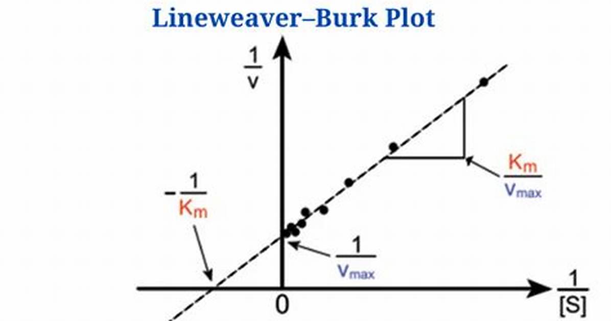 Lineweaver Burk