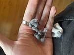 Lint Balls