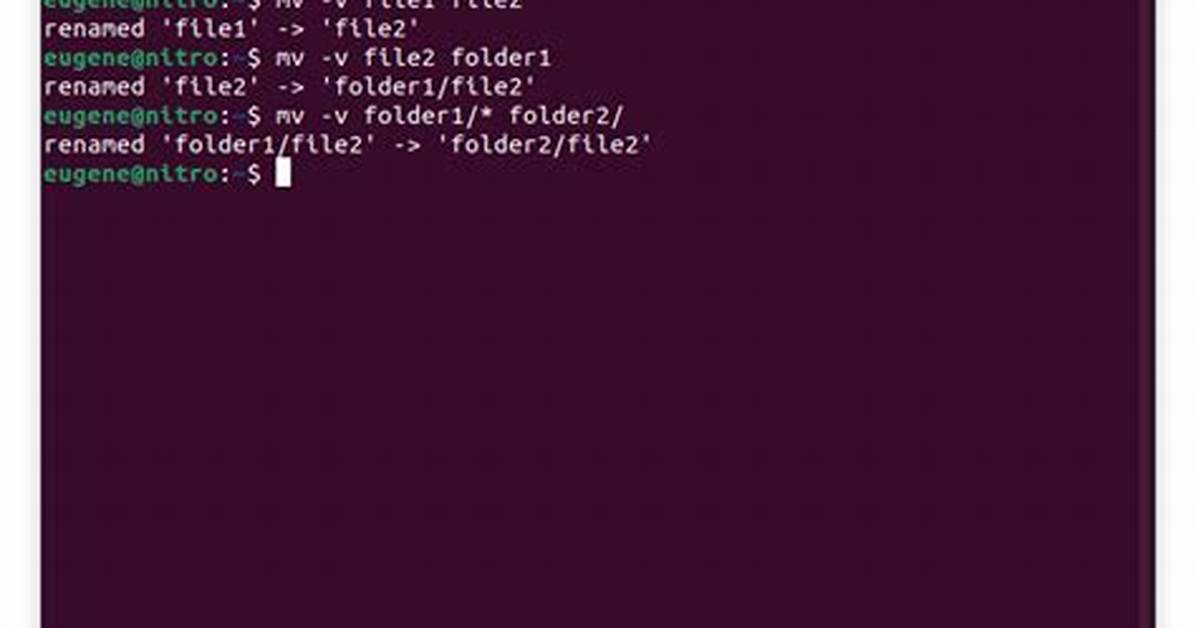 Linux Bash: Move Multiple Different Files into Same Directory