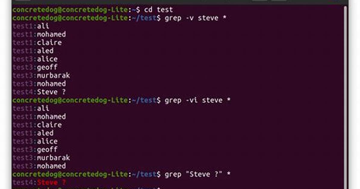 Linux Find and Grep Command Together
