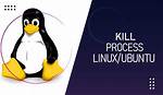 Linux: Kill Background Task