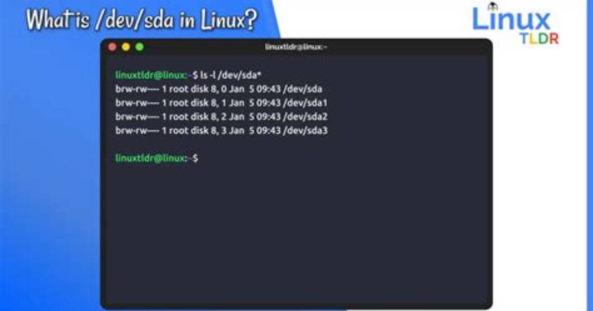Linux System Both on /Dev/Sda and /Dev/Sdb