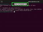 Linux to Windows Ping