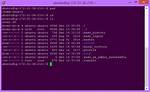 Linux Touch Directory Command