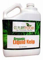 Liquid Kelp