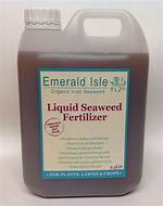 Liquid Seaweed
