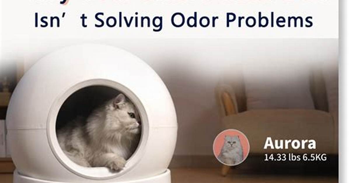Litter Box Smells