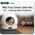 Litter Box Smells