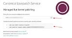 Livepatch Not Livepatching Very Much