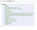 Localhost:8001