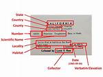 Locality Means