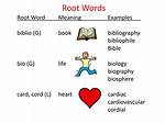 Log Root Word