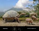 Long ___ (Extinct)