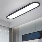 Long Light Fixture