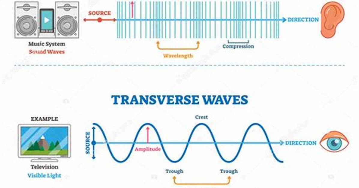 Longitudinal vs Transverse Wave