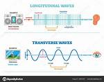 Longitudinal vs Transverse Wave