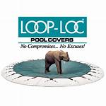 Loop Loc Pool Cover Cost
