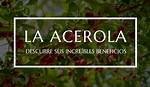 Los Motivos Por Los Que La Acerola Se Ha Ganado Su Reputación