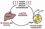 Low Lactic Acid