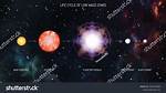 Low Mass Star