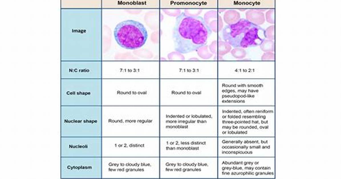 Low Monocytes