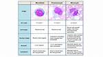 Low Monocytes