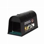 Lowes Rat Traps