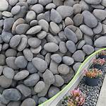 Lowes Rocks