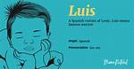 Luis Meaning