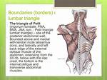 Lumbar Triangle