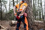 Lumberjack's Back-and-Forth Tool