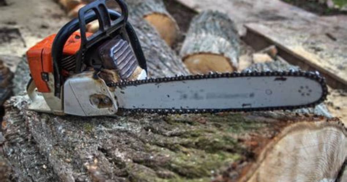 Lumberjack's Tool