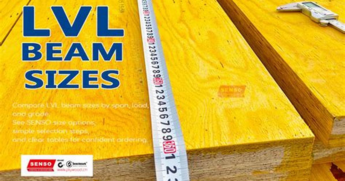 Lvl Sizes
