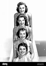 Lynn Evans