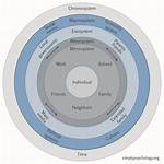 Macrosystem