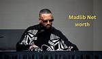 Madlib Net Worth