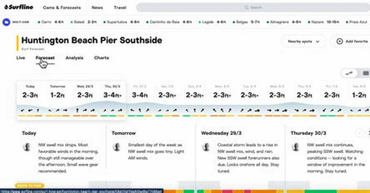 Magicseaweed