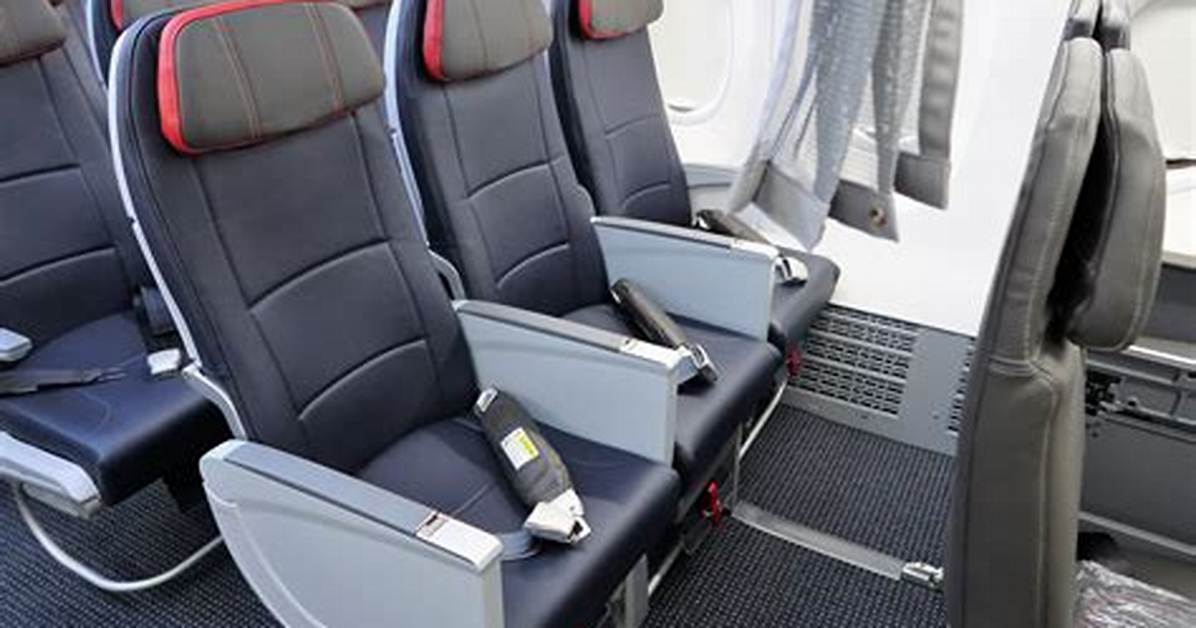 Main Cabin Extra