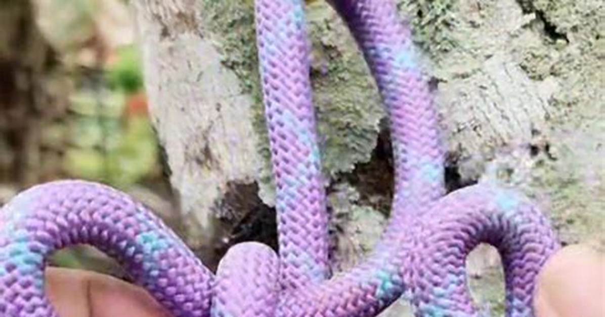 Makes a Knot