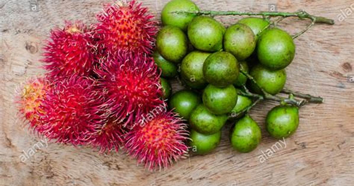 Mamon Fruit